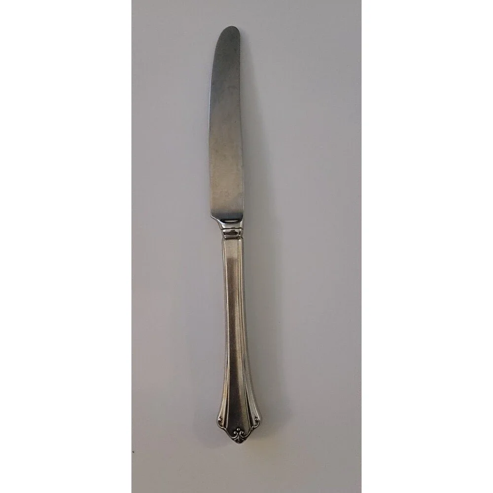 Oneida Anticipation Deluxe Stainless Glossy French Hollow Dinner Knife
